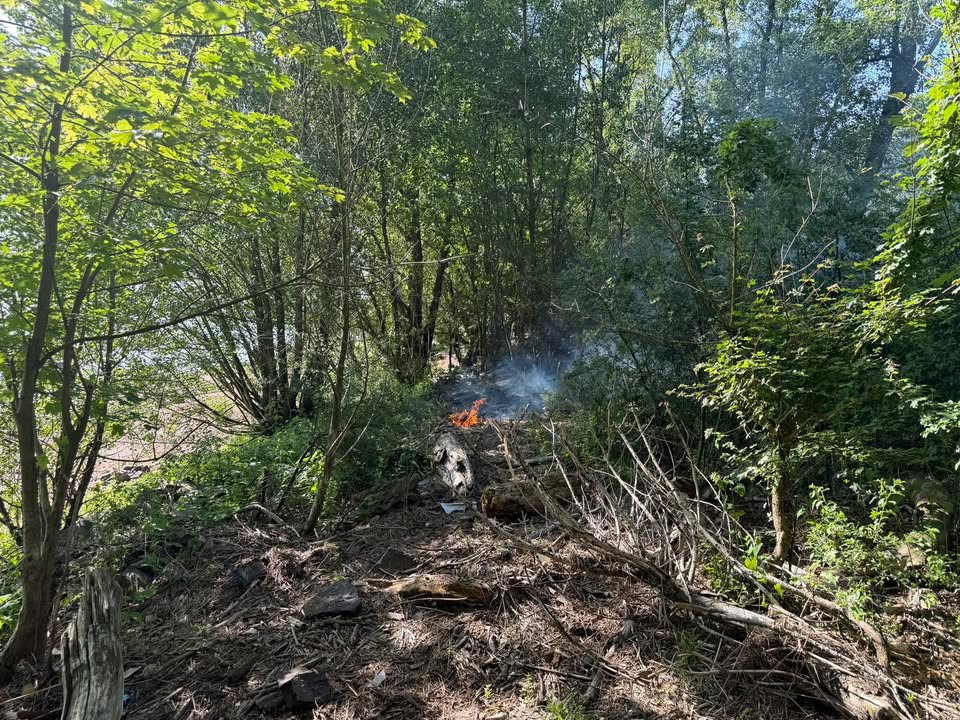 — Buschbrand am Rheinufer in Voerde —